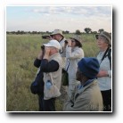 [Click to enlarge image]