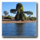 [Click to enlarge image]