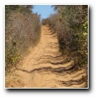 [Click to enlarge image]