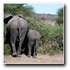 [Click to enlarge image]