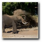 [Click to enlarge image]