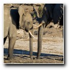 [Click to enlarge image]