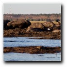 [Click to enlarge image]