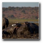 [Click to enlarge image]