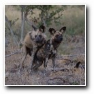 [Click to enlarge image]