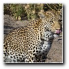 [Click to enlarge image]