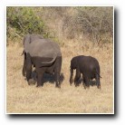 [Click to enlarge image]