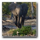 [Click to enlarge image]