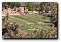 [Click to enlarge image]