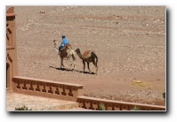 [Click to enlarge image]