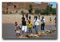 [Click to enlarge image]