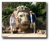 [Click to enlarge image]