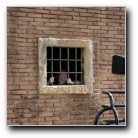 [Click to enlarge image]