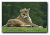 [Click to enlarge image]