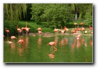 [Click to enlarge image]