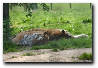 [Click to enlarge image]