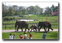 [Click to enlarge image]