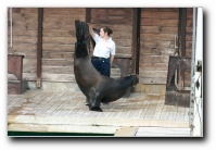 [Click to enlarge image]