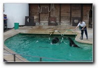 [Click to enlarge image]