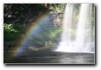 [Click to enlarge image]